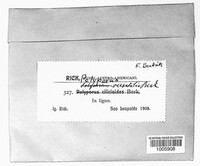 Image Associated With the Occurence